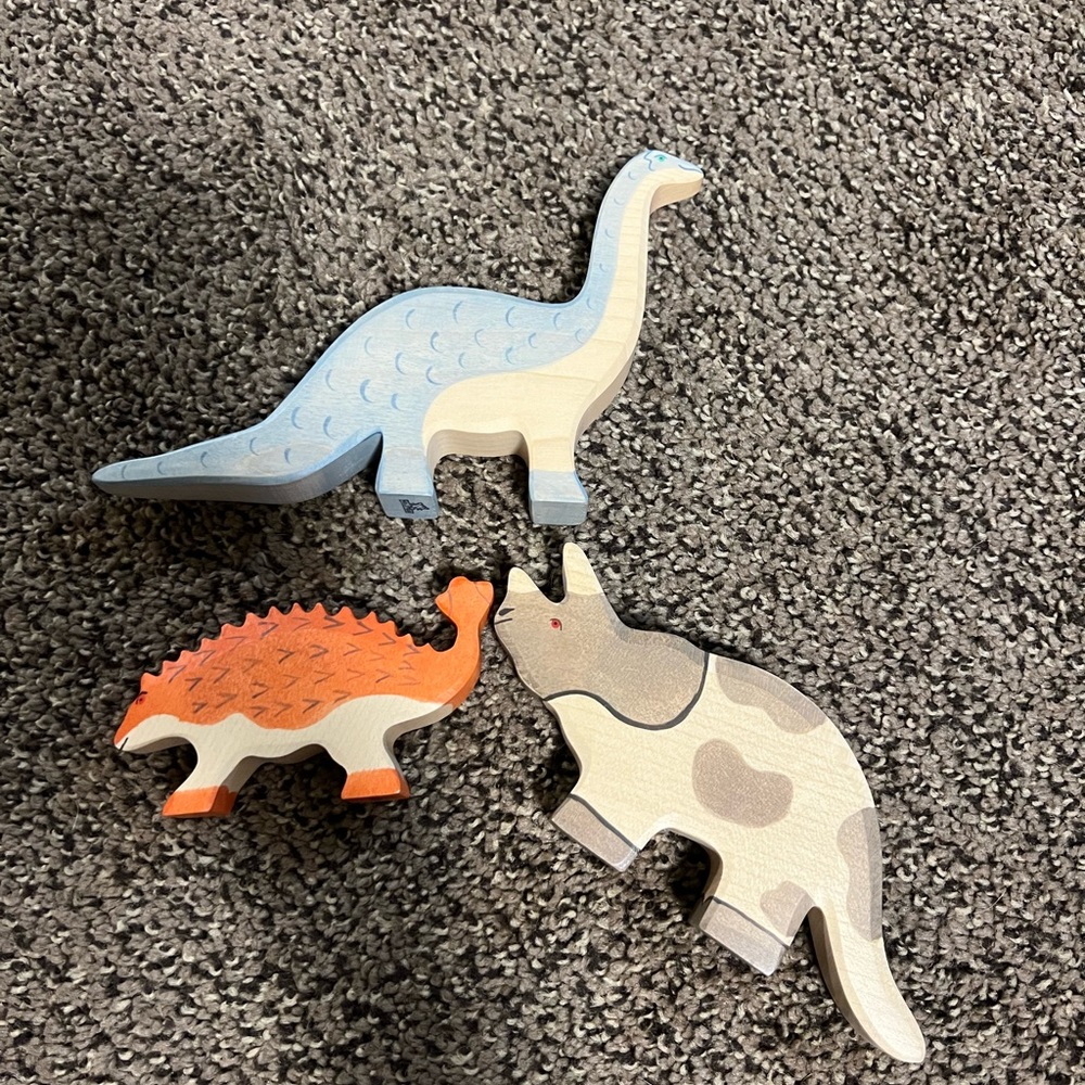Hold tiger wood toys